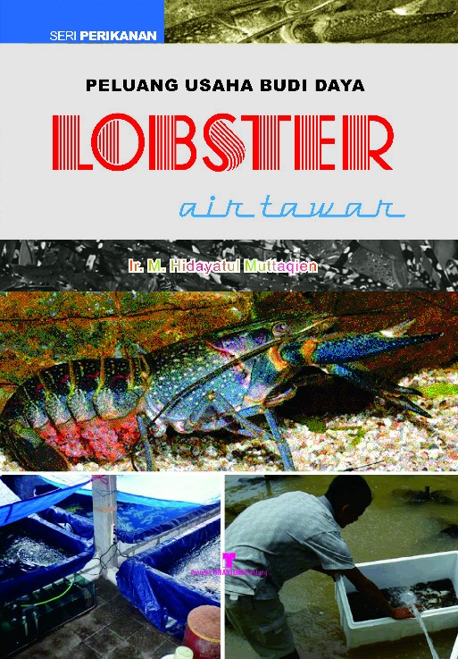 Peluang Usaha Budi Daya Lobster Air Tawar